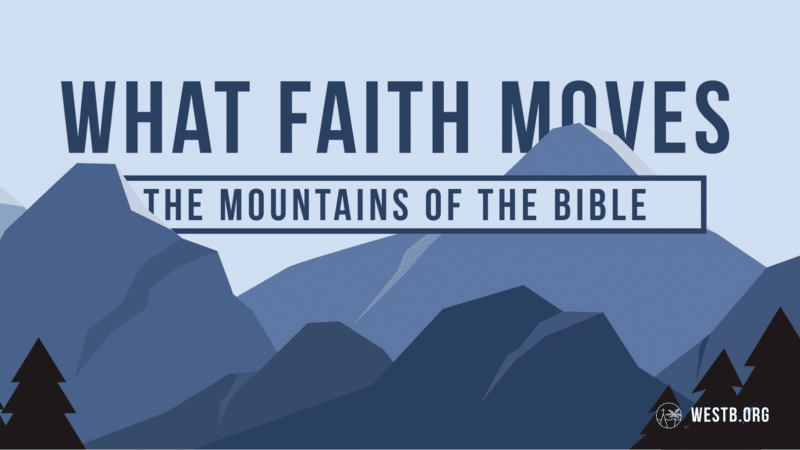 What Faith Moves